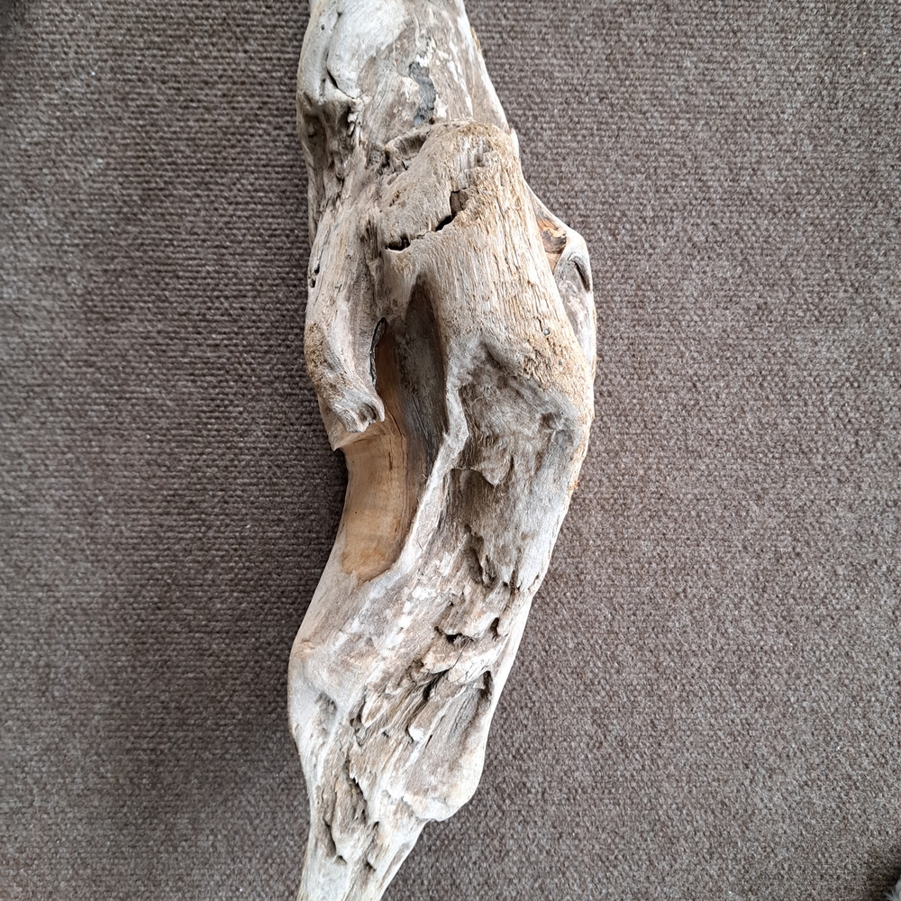 Natural Driftwood Decorative Accent - Light Weathered Wood